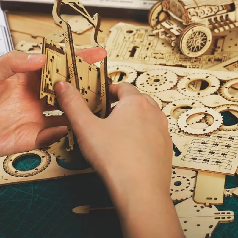 3D Wooden Puzzle