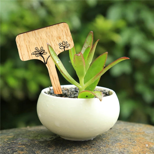 Bamboo T-Type Plant Labels - 25pk