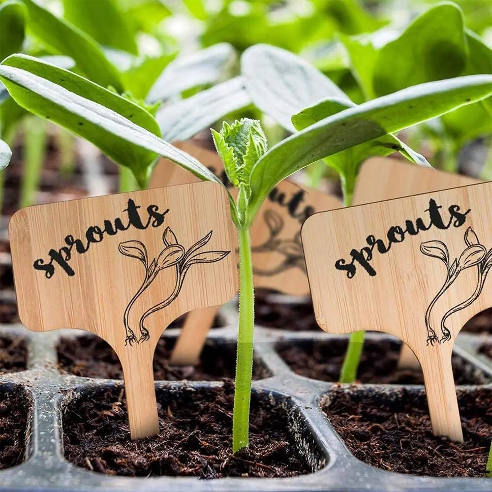 Bamboo T-Type Plant Labels - 25pk