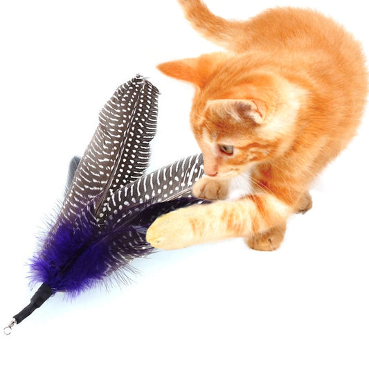 Bird Feather Cat Toy - Replacement - 2pk
