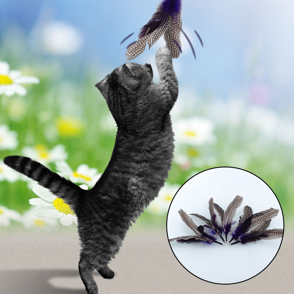 Bird Feather Cat Toy - Replacement - 2pk