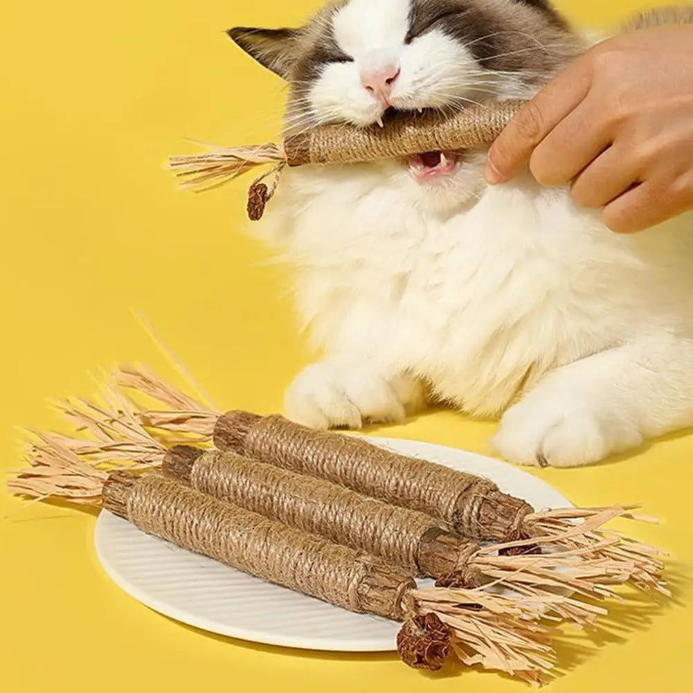 Cat Silvervine Chew Stick 3pk