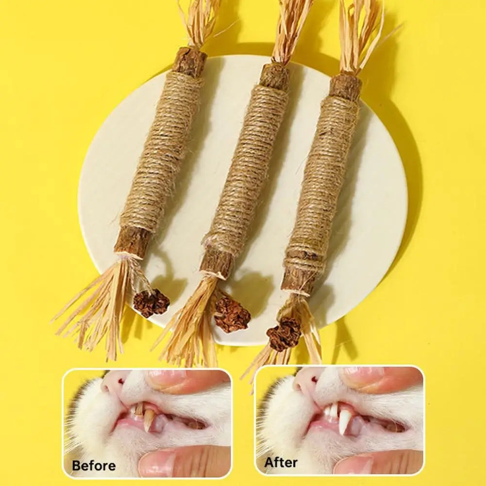 Cat Silvervine Chew Stick 3pk