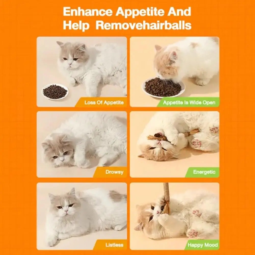 Cat Silvervine Chew Stick 3pk