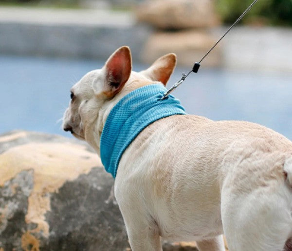 Dog Cooling Bandana