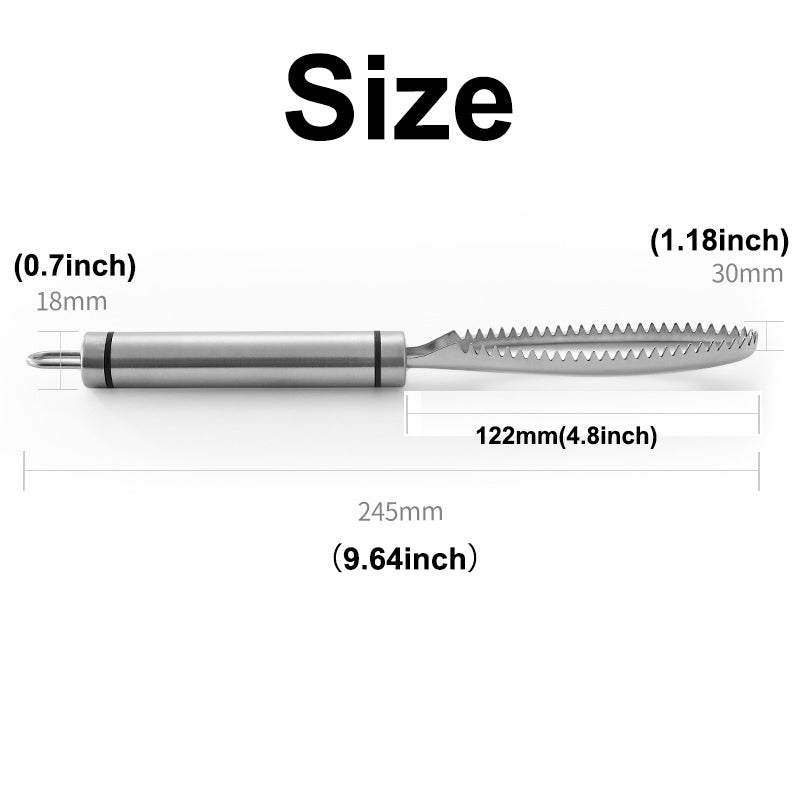 Stainless Steel Fish Scaler