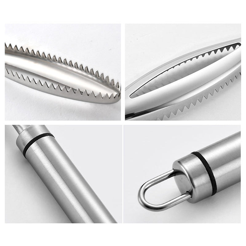 Stainless Steel Fish Scaler