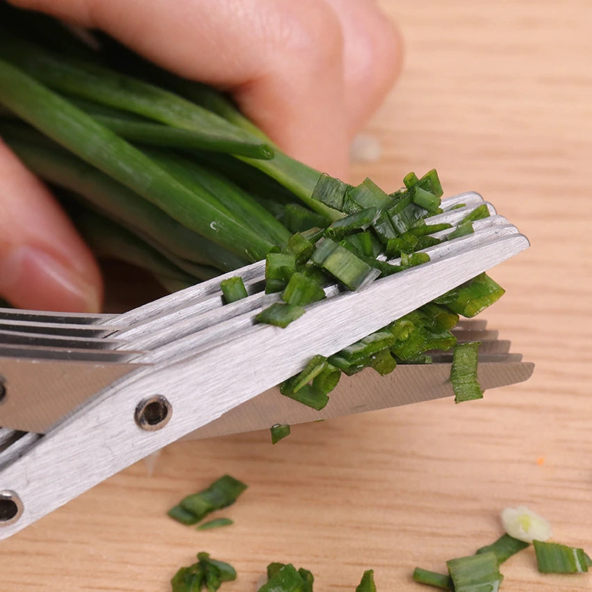 Herb Scissors - 5 Blades