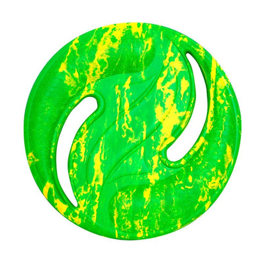 Outdoor Flying Frisbee