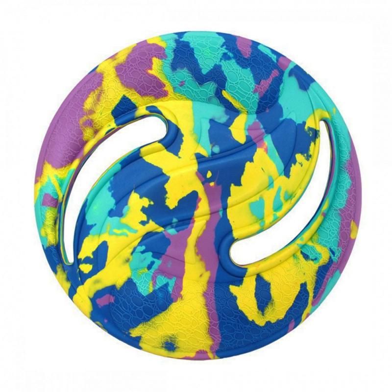 Outdoor Flying Frisbee