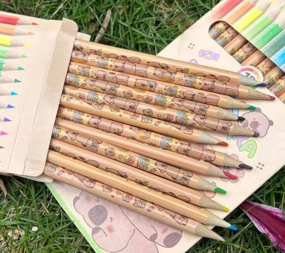 Pencil Case Filled with 12 Pencils & Sharpener