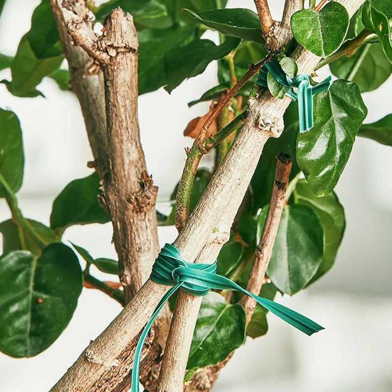 Reusable Plant Support Clip Set - 31pce