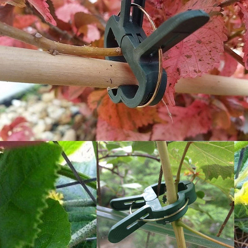 Reusable Plant Support Clip Set - 31pce