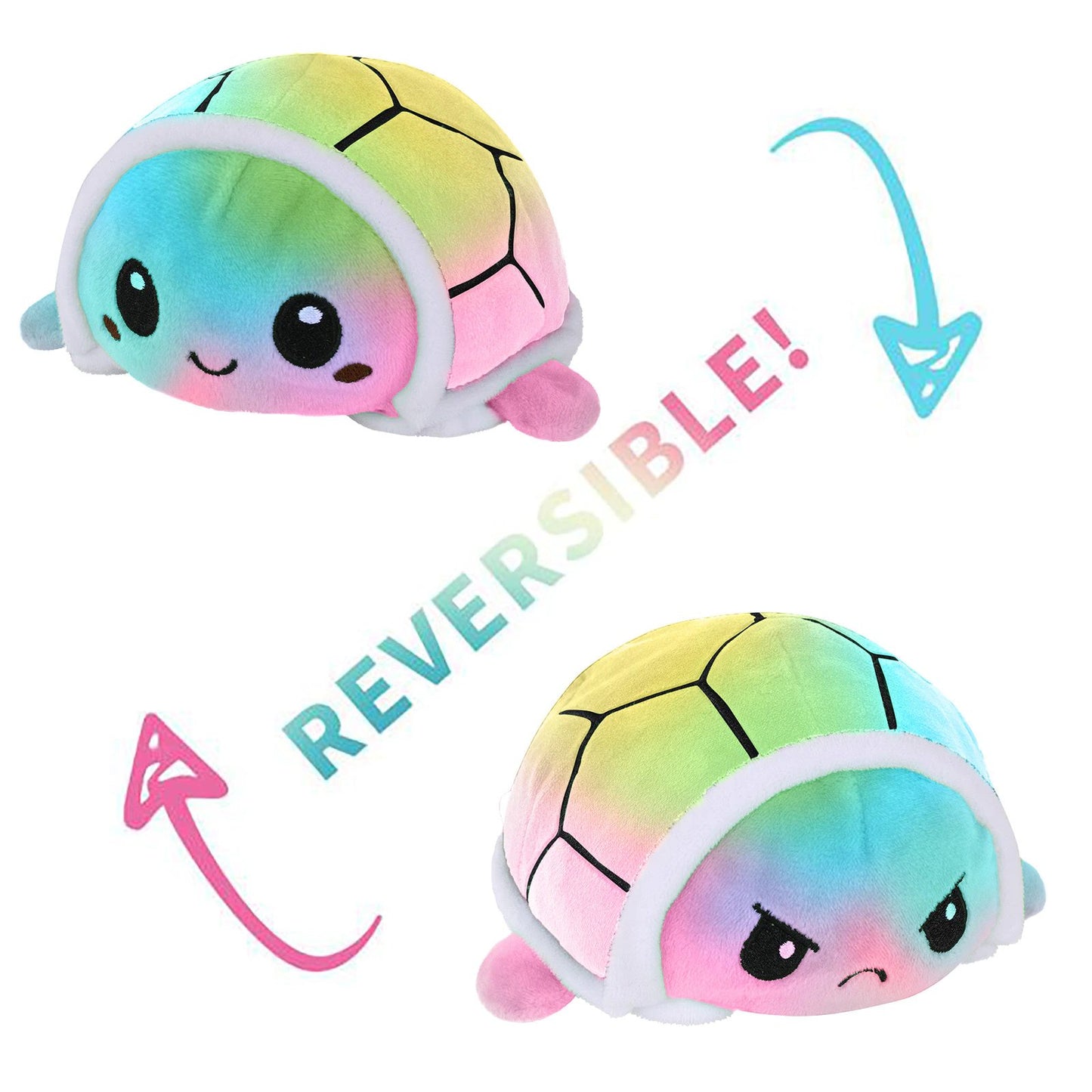 Reversible Turtle