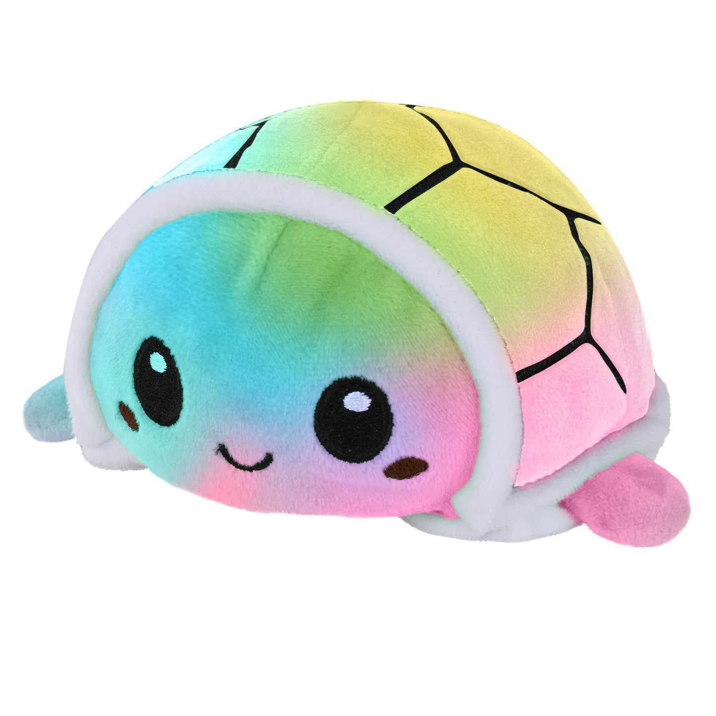 Reversible Turtle