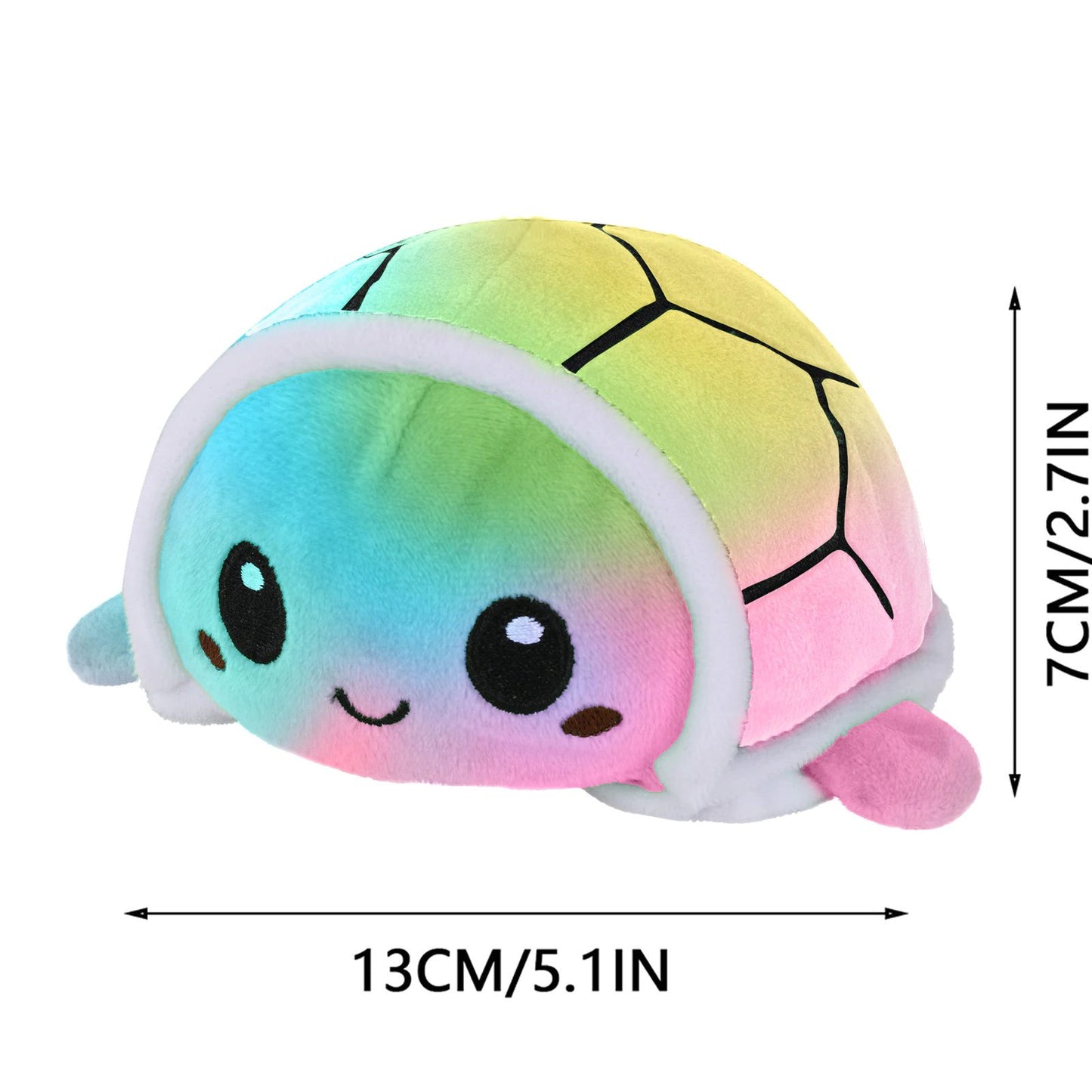 Reversible Turtle