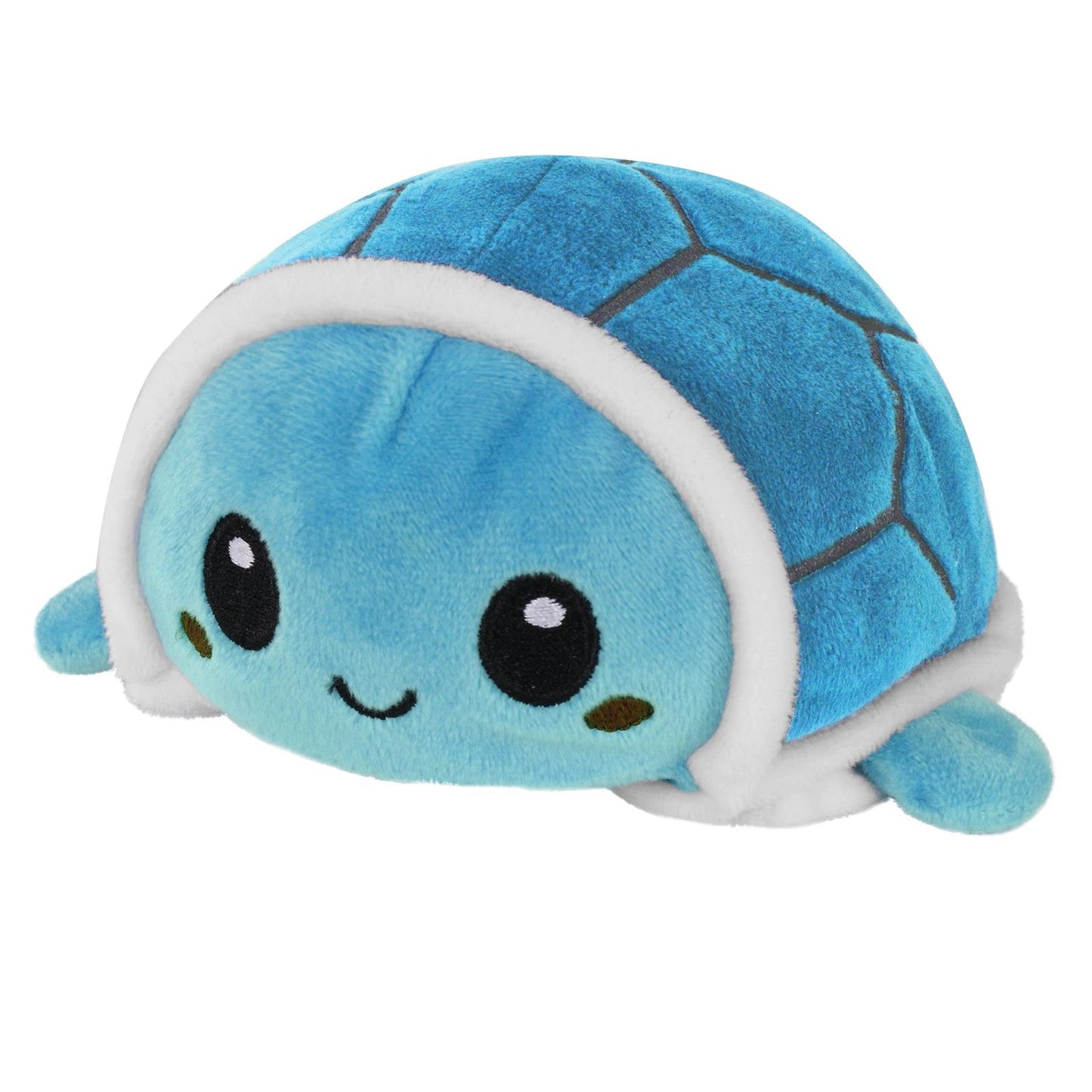 Reversible Turtle