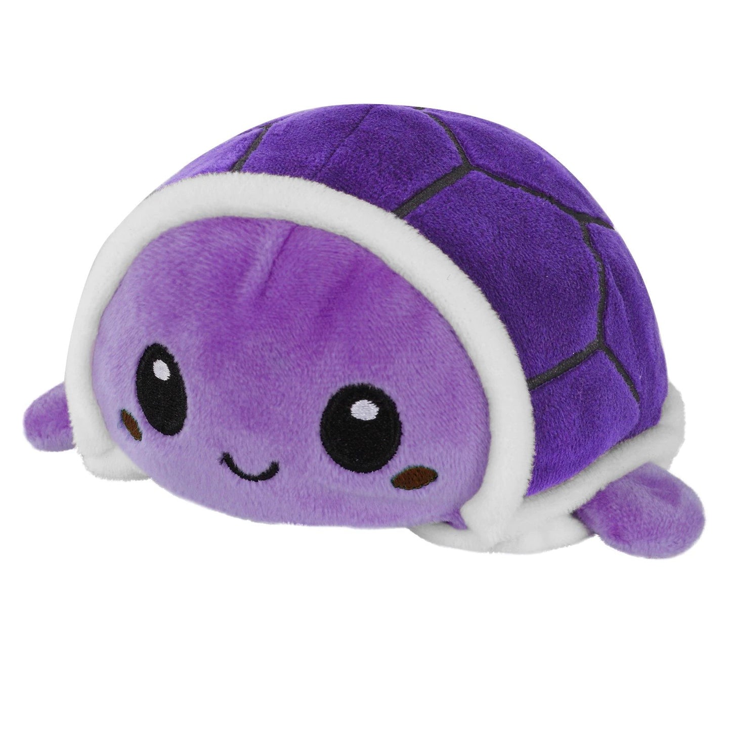 Reversible Turtle