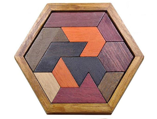 Tangram Geometric Wooden Montessori Puzzle